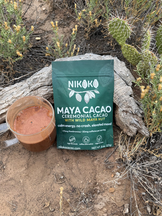 Maya Cacao Discs